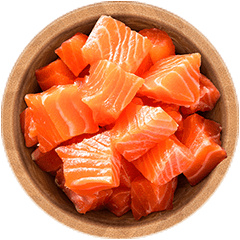 Salmão