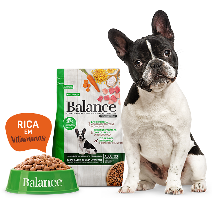 Uma ração nutritiva e saudável para o seu cachorro